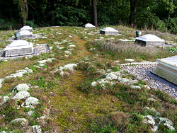 Green roof at Teufelssee, Berlin-Grunewald. 